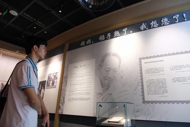 参观，隆平，水稻，博物馆