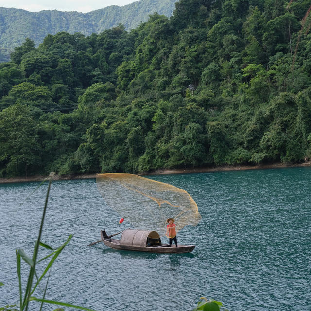 渔夫，撒网，东江湖，