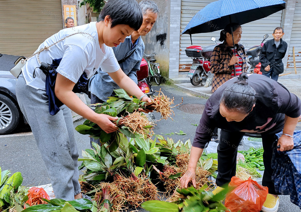 湖南桂东 草药飘香 端午 家家户户 集市