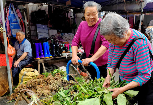 湖南桂东 草药飘香 端午 家家户户 集市