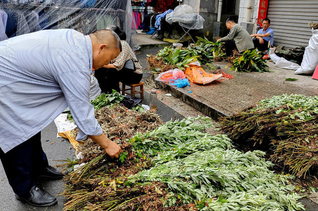 湖南桂东 草药飘香 端午 家家户户 集市