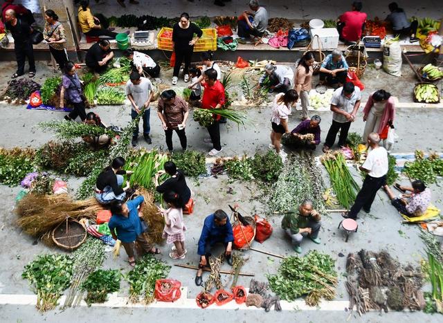 插艾草 挂菖蒲 过端午
