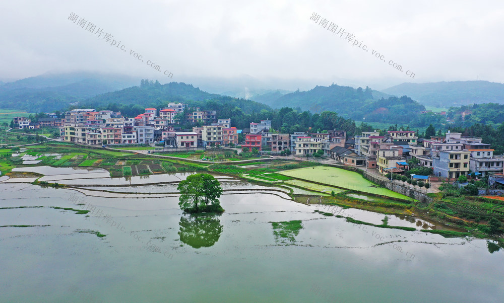 水乡  云雾  美景  江南