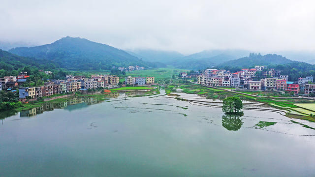水乡  云雾  美景  江南