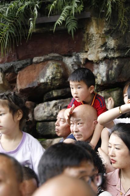 凤凰  龙舟赛  抢鸭子  沱江  沙湾  游客 市民  