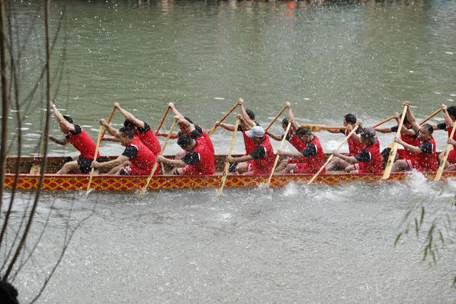 凤凰  龙舟赛  抢鸭子  沱江  沙湾  游客 市民  