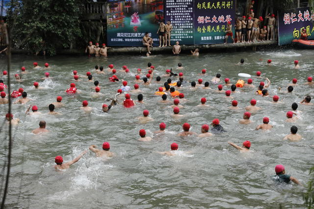 凤凰  龙舟赛  抢鸭子  沱江  沙湾  游客 市民  
