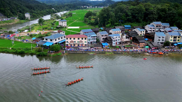 传统 龙舟 活动 吸引 众多 游客 村民 观看 共度 节日 