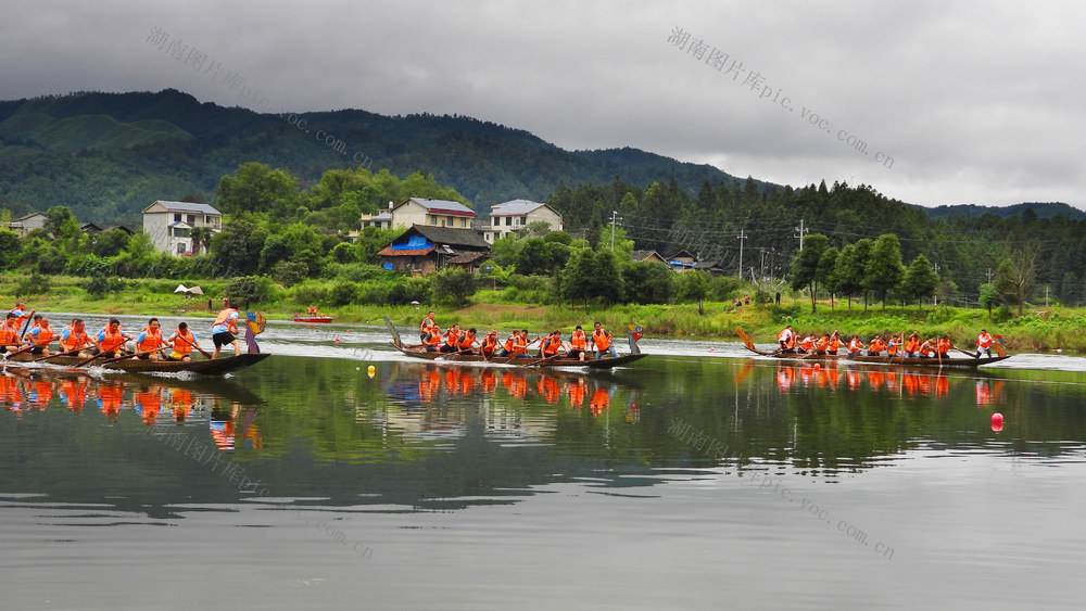 传统 龙舟 活动 吸引 众多 游客 村民 观看 共度 节日 