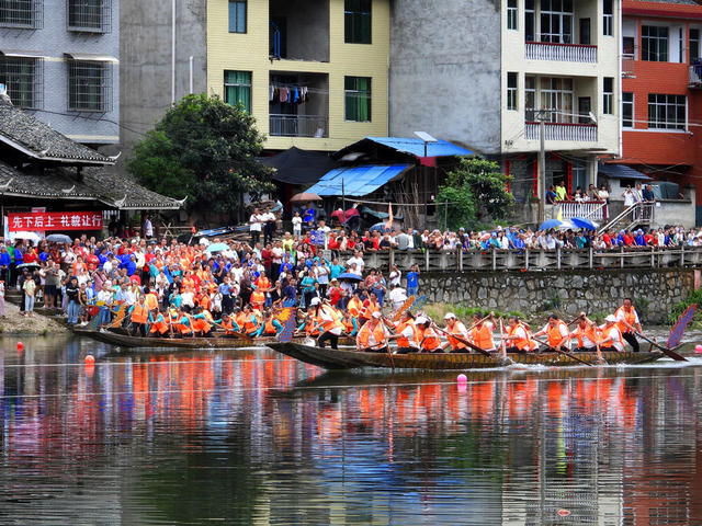 传统 龙舟 活动 吸引 众多 游客 村民 观看 共度 节日 