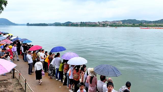 湖南  常宁  湘江  赛龙舟