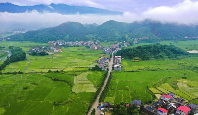 夏日 田园  高速公路  民居  青山