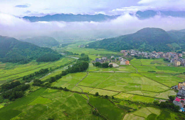 夏日 田园  高速公路  民居  青山