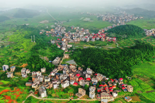 嘉禾：夏日乡村清新美