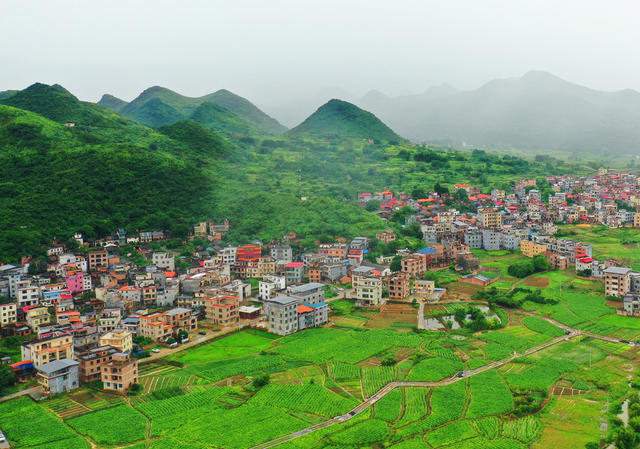 嘉禾：夏日乡村清新美
