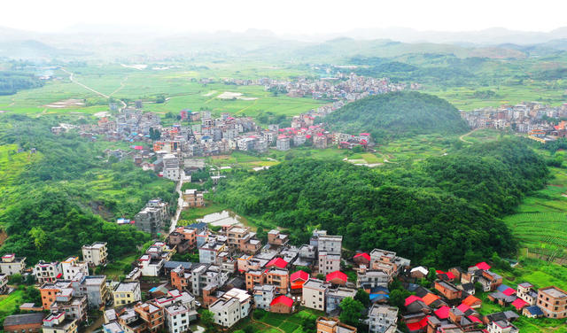 嘉禾：夏日乡村清新美