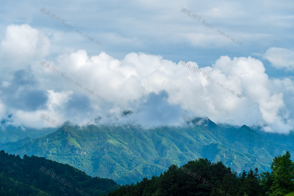 森林,风光,风景,自然,山川,山脉,山峰,天空,蓝天,山雾,云雾缭绕,背景,壁纸,树林,青山,生态,环境,环保,绿化,绿色,旅行,户外,高山,云,自然美,地形,旅游目的地,云雾,雾,山,树 