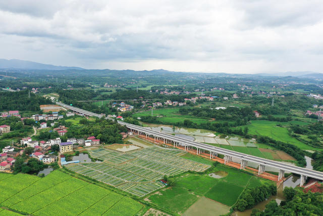 高速  公路  乡村  经济  交通  振兴