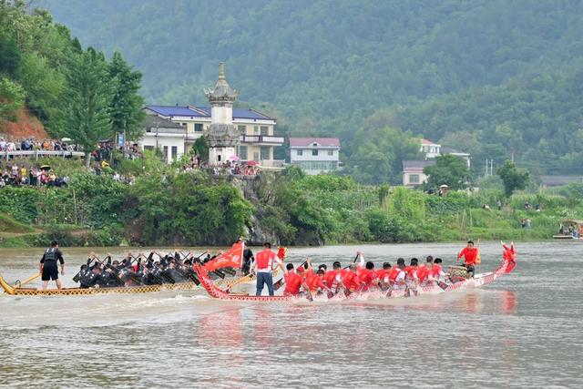 龙舟  端午  传统  经济