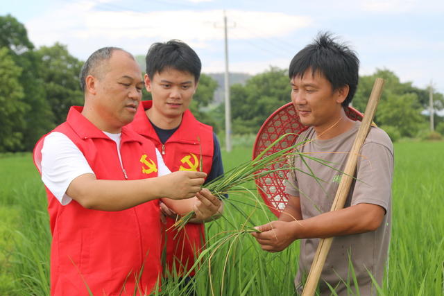 导师 帮带 年轻干部 育苗成长