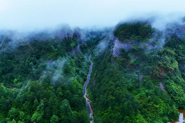 公路、交通、四好农村路、山、通组路