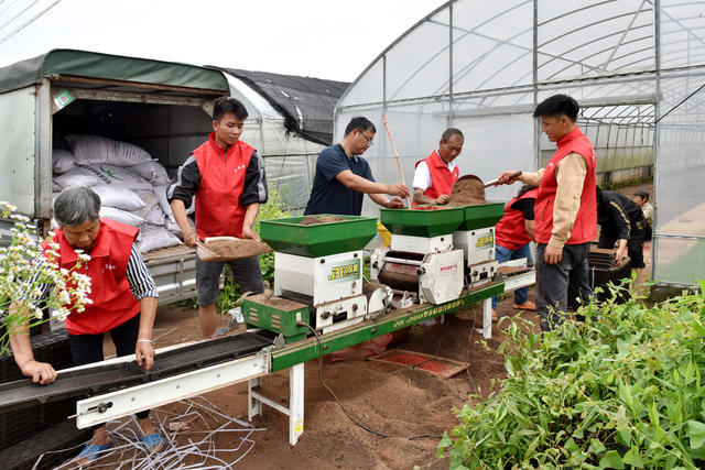 洪江市安江镇小英农业机械化专业合作社