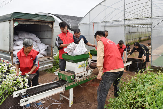 洪江市安江镇小英农业机械化专业合作社