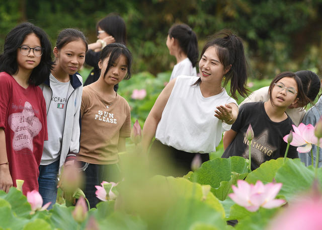 嘉禾：田间课堂  增长知识