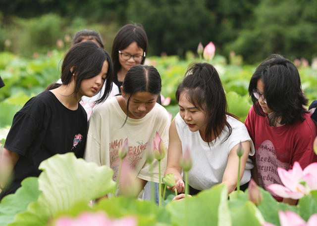 嘉禾：田间课堂  增长知识