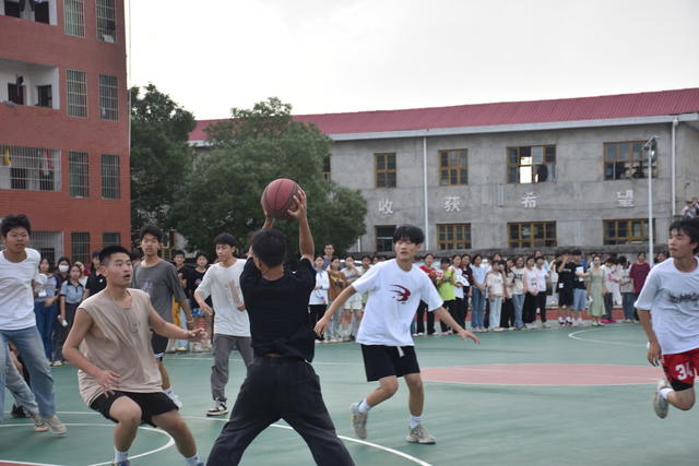 迎“篮”而上 绽放活力