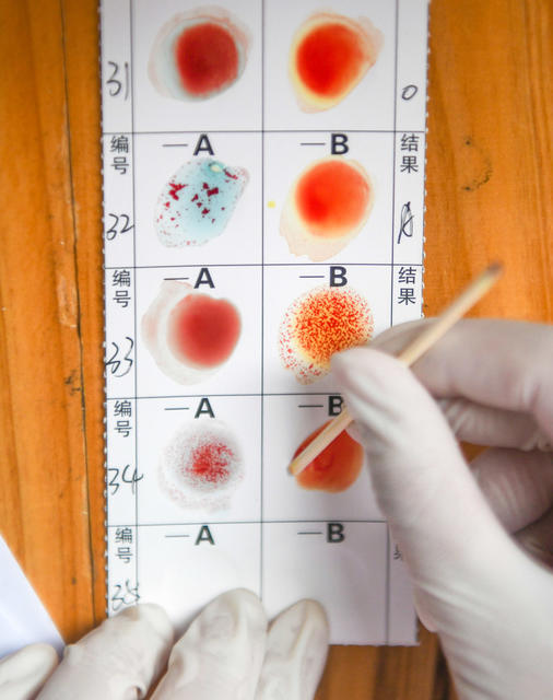 献血者日
道县