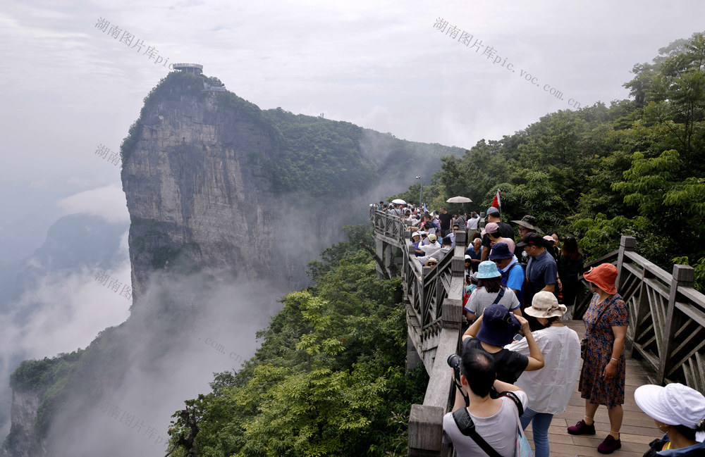 张家界 天门山 避暑游