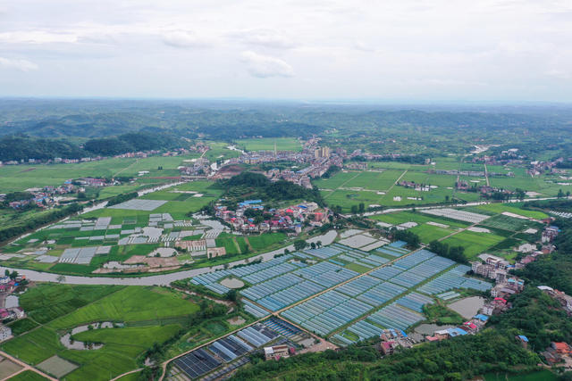 和美  乡村  乡村振兴  村庄  水稻  小河  美丽乡村