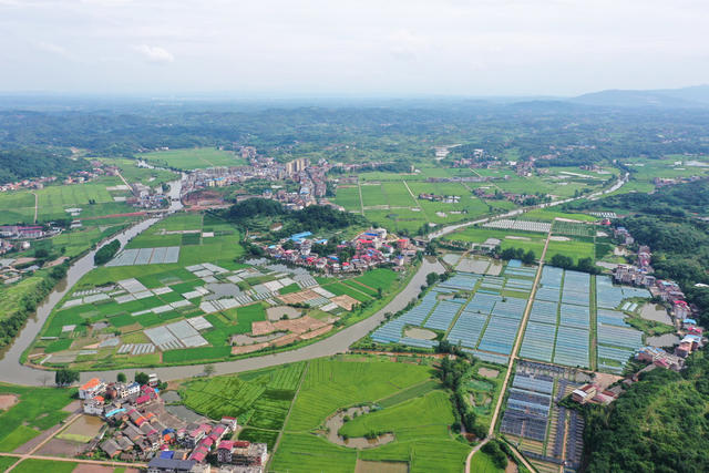 和美  乡村  乡村振兴  村庄  水稻  小河  美丽乡村