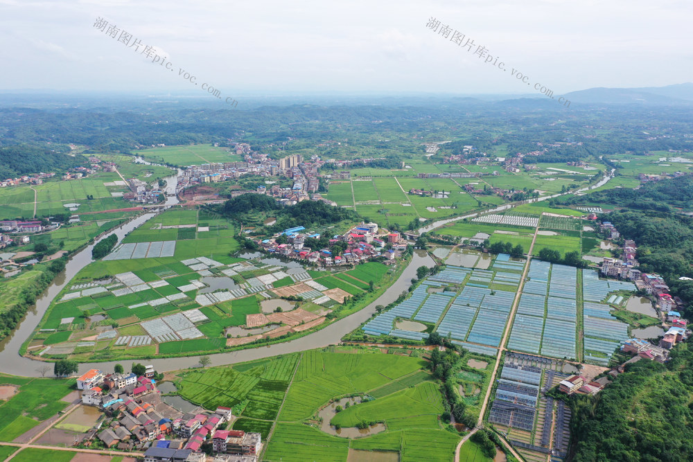 和美  乡村  乡村振兴  村庄  水稻  小河  美丽乡村