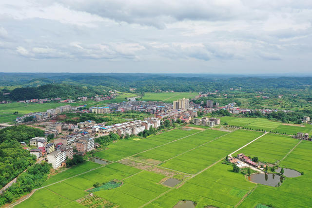 和美  乡村  乡村振兴  村庄  水稻  小河  美丽乡村