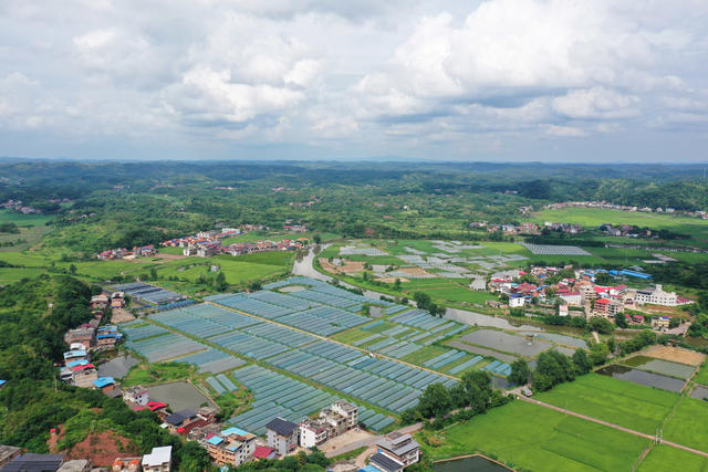 和美  乡村  乡村振兴  村庄  水稻  小河  美丽乡村