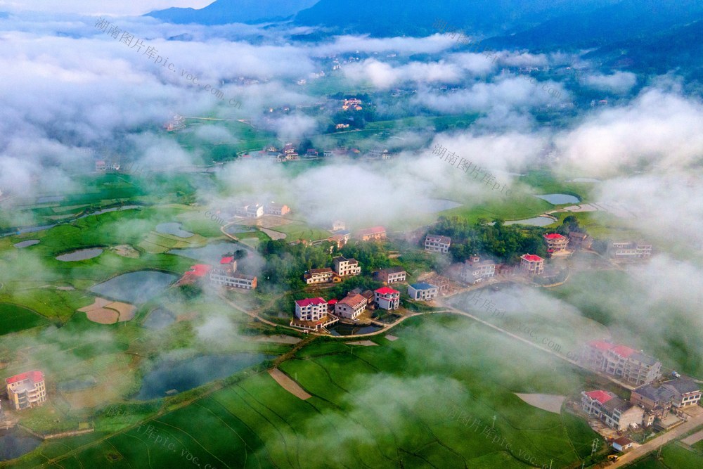 云海  雨  环境  生态  村庄  绿野