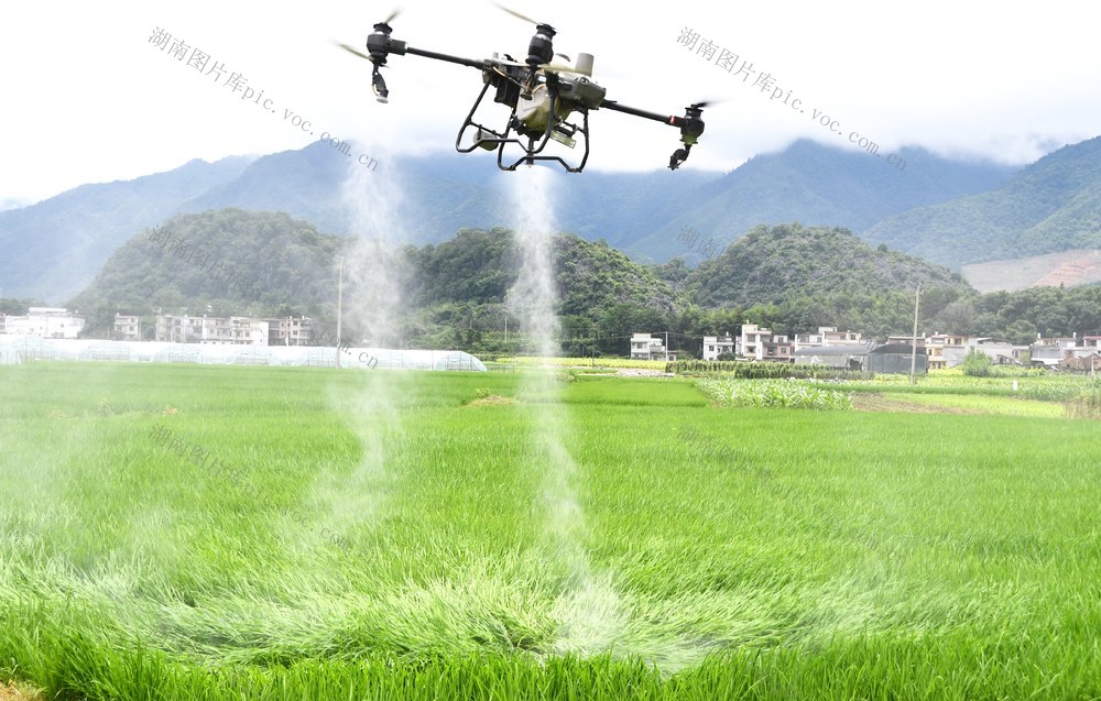 “飞防”管理 助夏粮丰收