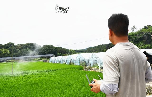 “飞防”管理 助夏粮丰收