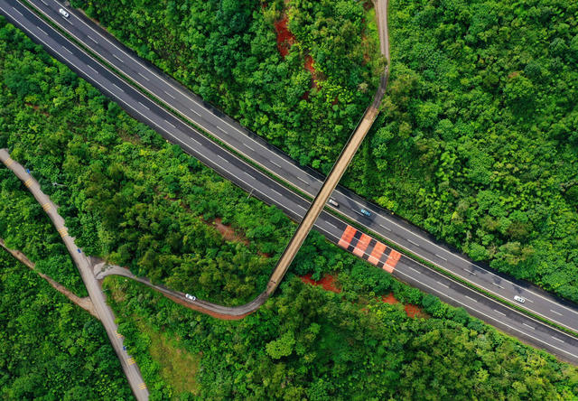 嘉禾：交通路网助发展