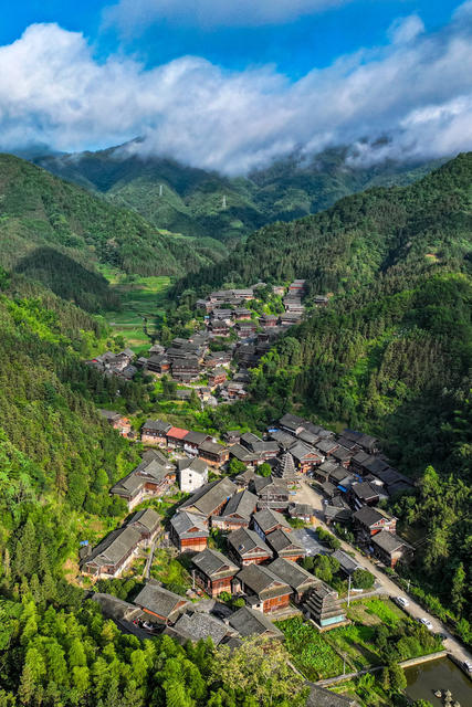 传统村落 旅游 特色民居 雾 古侗寨