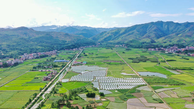 湖南 新田 大棚西瓜 增收