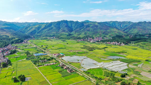 湖南 新田 大棚西瓜 增收