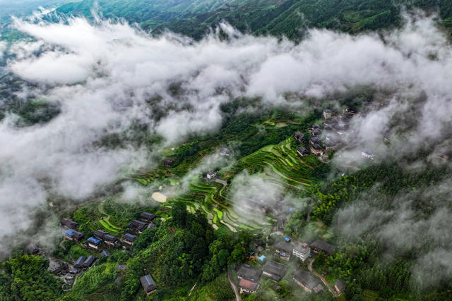 生态 绿色 雾 河流 高速公路