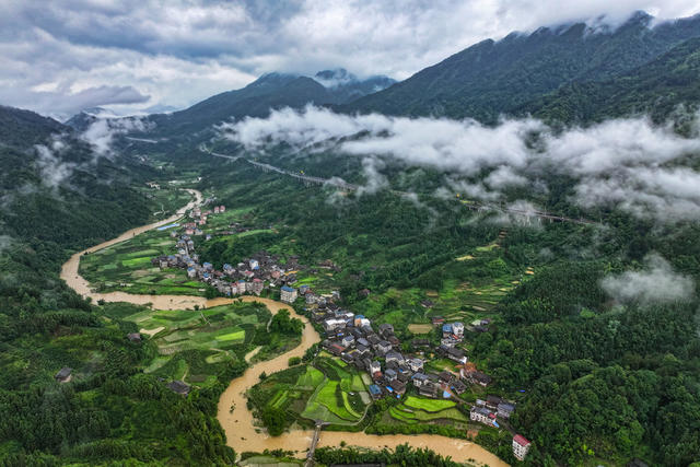 生态 绿色 雾 河流 高速公路