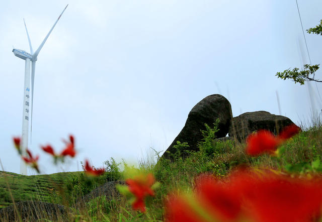 湖南桂东 秋里村 阳原石 器官 天然原石