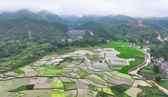 田野 美景