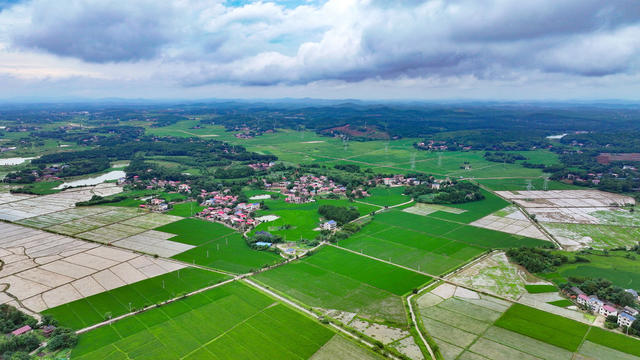 夏日美景 美丽乡村