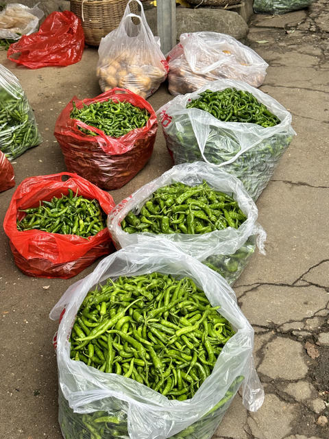 热闹的樟树港辣椒早市，交易量大，价格不错